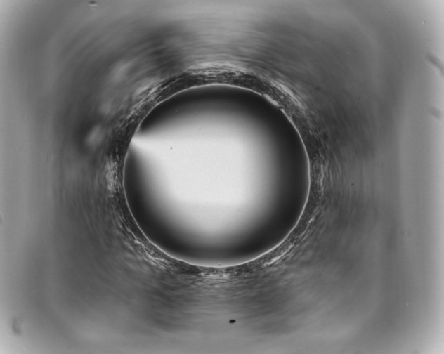 X0000094230965200710261253