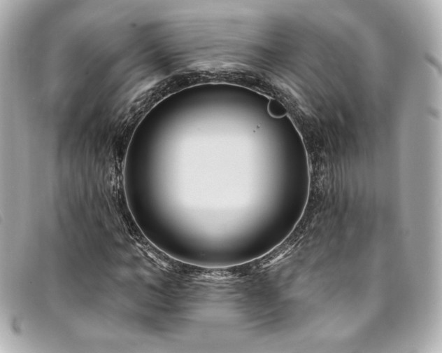 X0000094230966200710261253