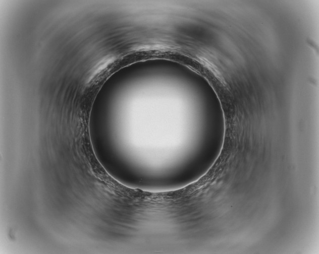 X0000094230967200710261253