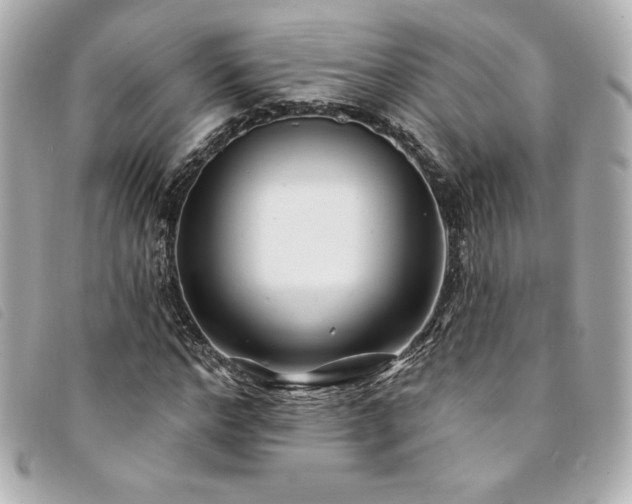 X0000094230968200710261253