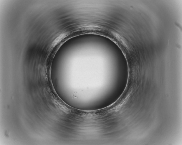 X0000094230970200710261253