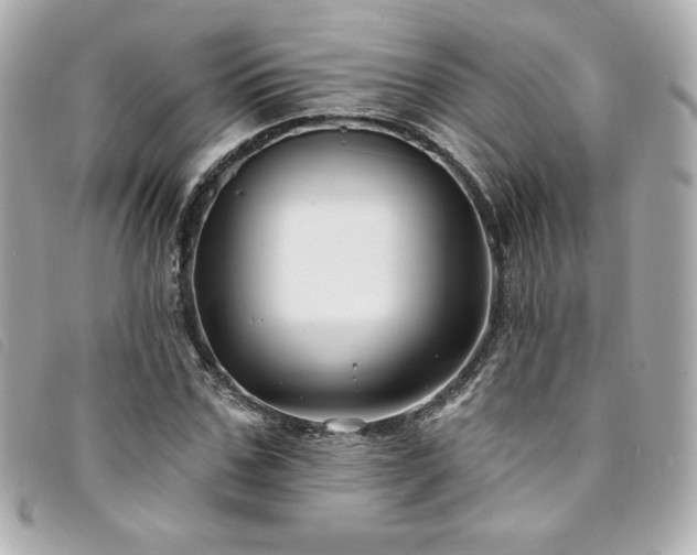 X0000094230971200710261253