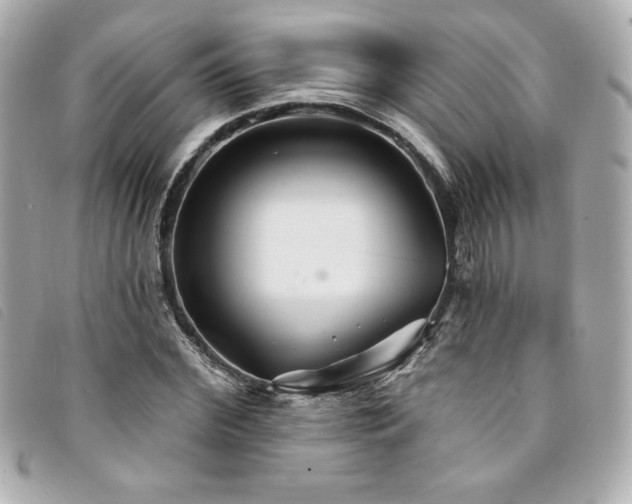 X0000094230972200710261253