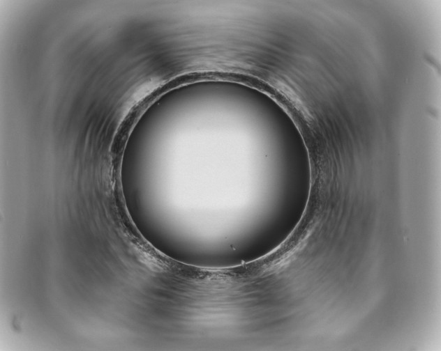X0000094230974200710261253