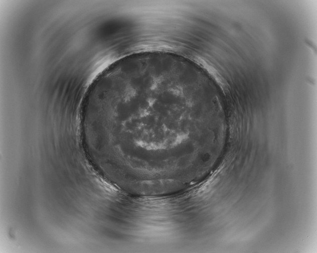 X0000094230975200710261253