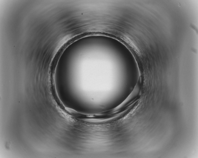 X0000094230976200710261253