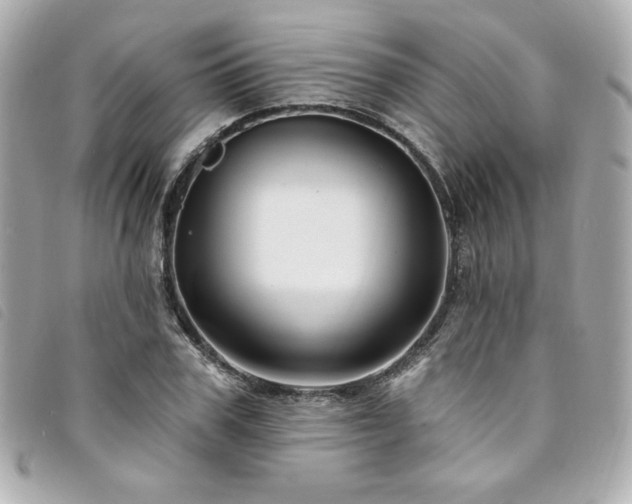 X0000094230979200710261253