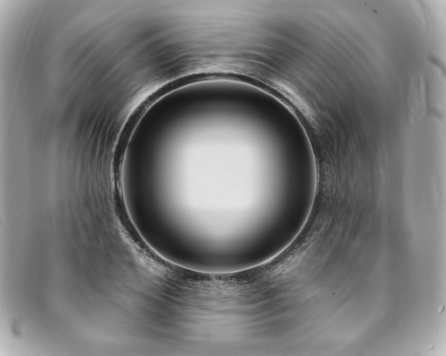 X0000094230980200710261253