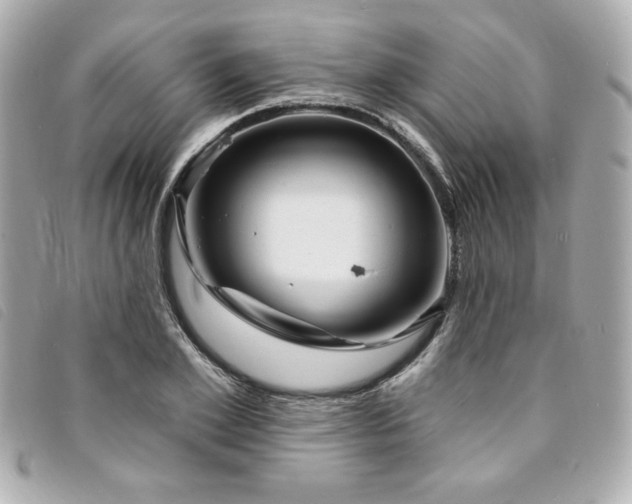 X0000094230981200710261253