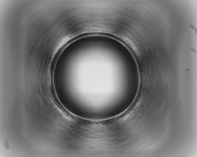 X0000094230982200710261253