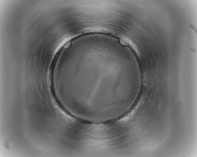 X0000094230983200710261253