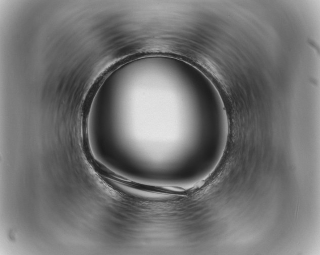 X0000094230984200710261253