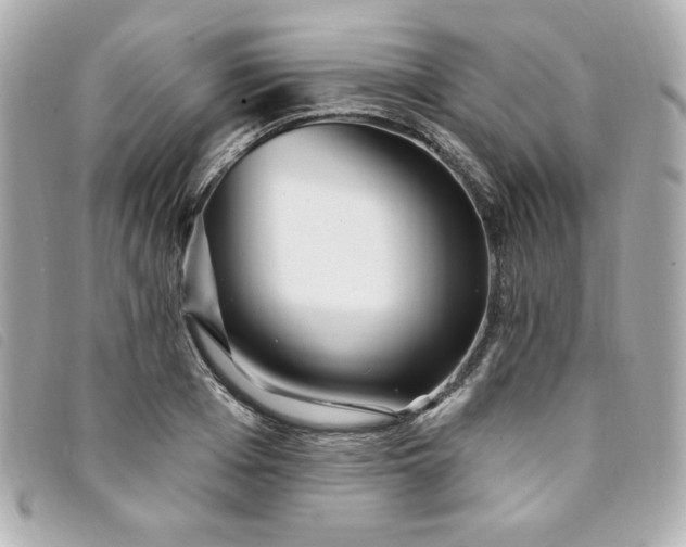 X0000094230985200710261253