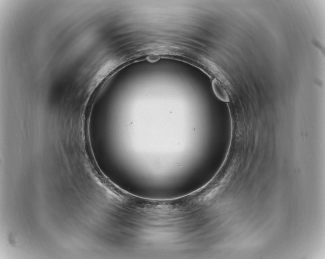 X0000094230986200710261253