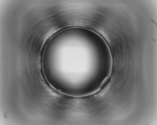 X0000094230987200710261253