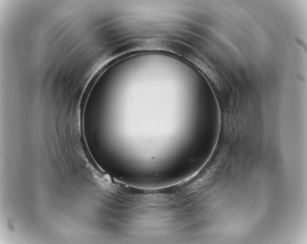 X0000094230988200710261253