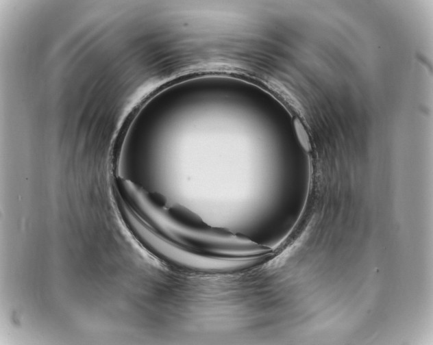 X0000094230989200710261253