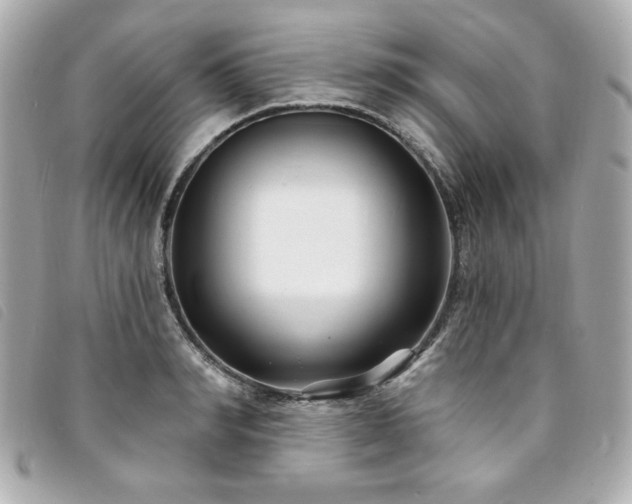 X0000094230990200710261253