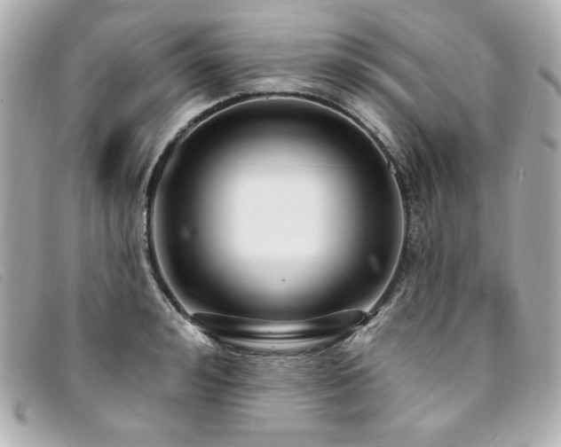 X0000094230992200710261253