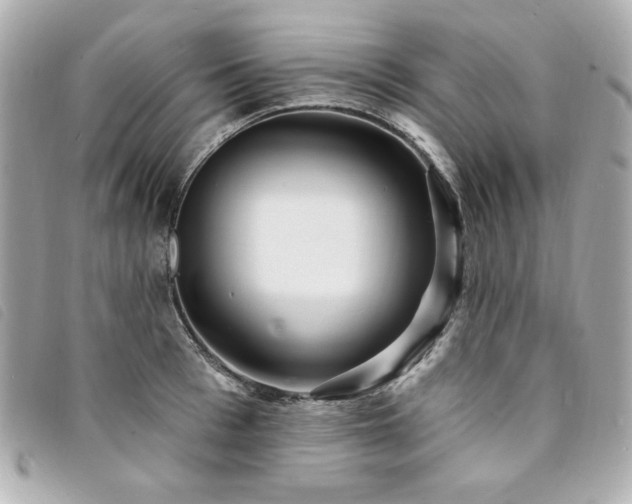 X0000094230993200710261253