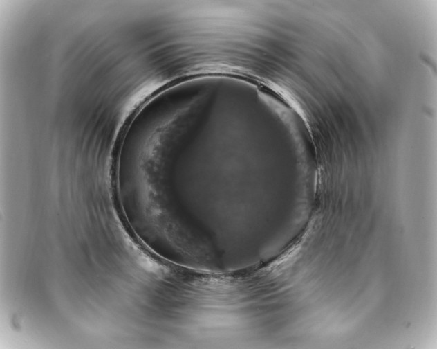 X0000094230995200710261253