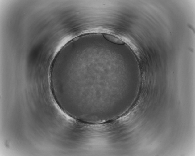 X0000094230998200710261253