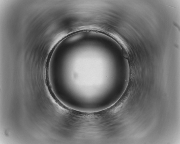 X0000094230999200710261253