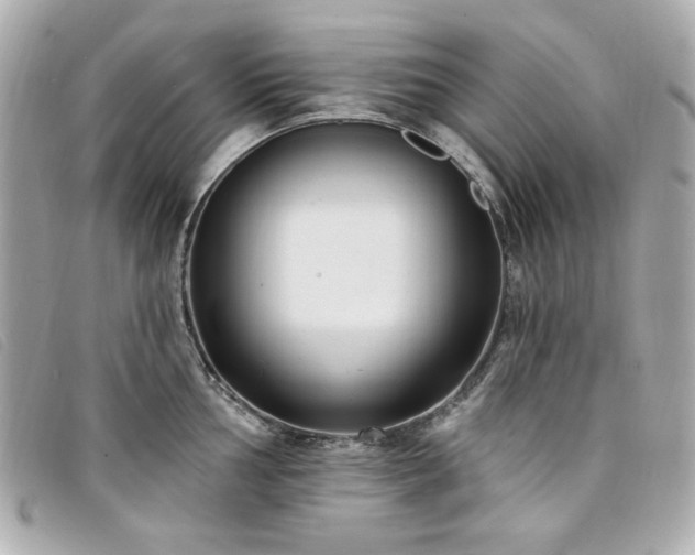X0000094231002200710261252