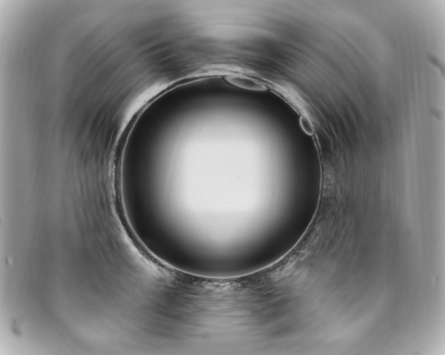 X0000094231003200710261252