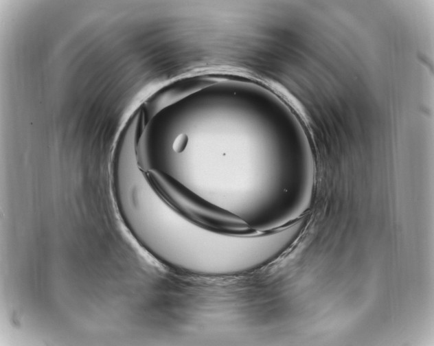 X0000094231005200710261252