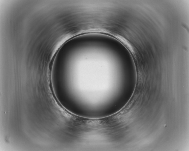 X0000094231006200710261252