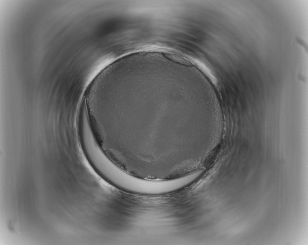 X0000094231007200710261252