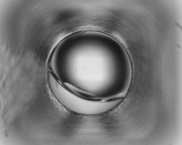 X0000094231008200710261252