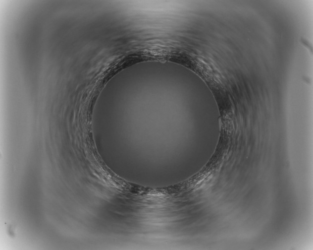 X0000094231009200710261252