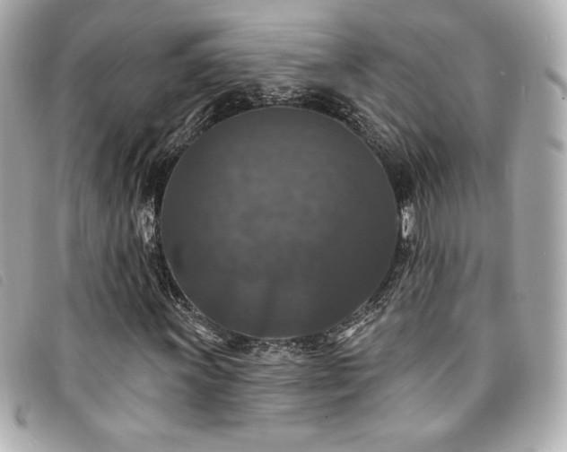 X0000094231011200710261252