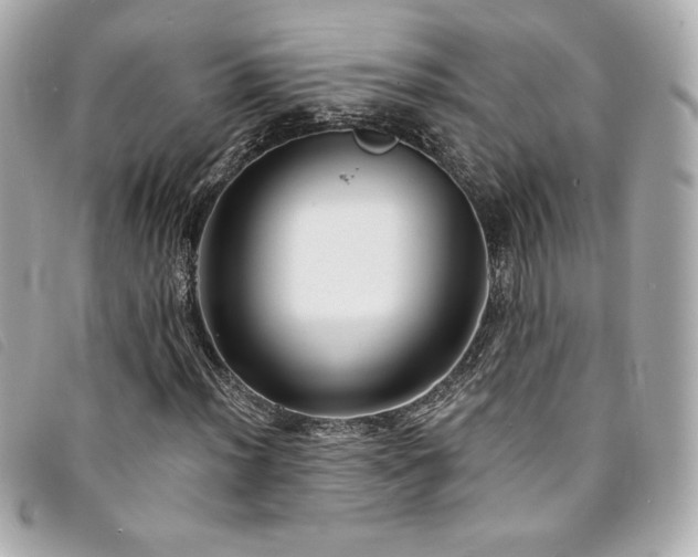 X0000094231012200710261252