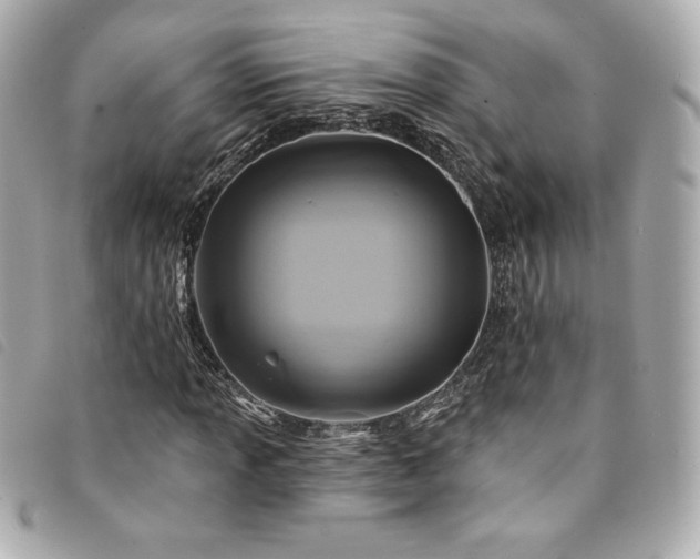 X0000094231013200710261252