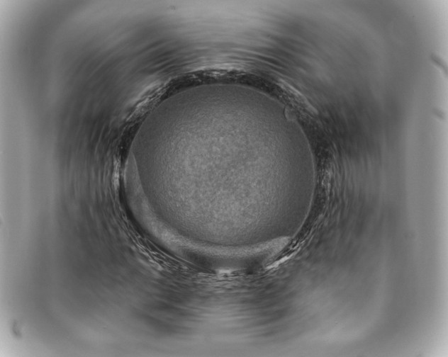 X0000094231014200710261252