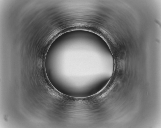 X0000094231017200710261252