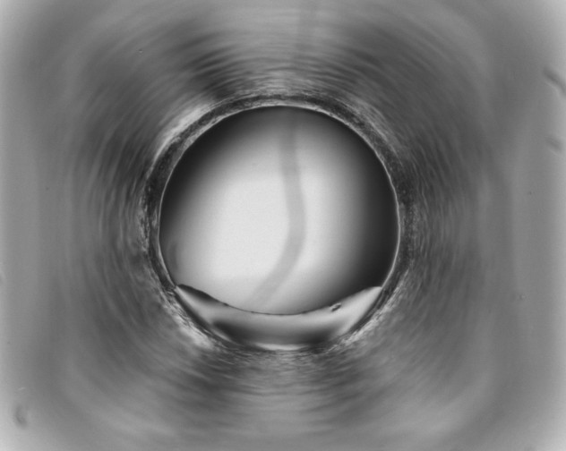 X0000094231018200710261252