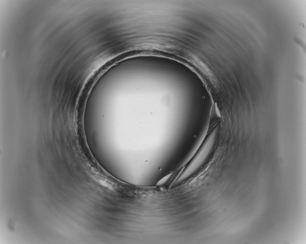 X0000094231020200710261252