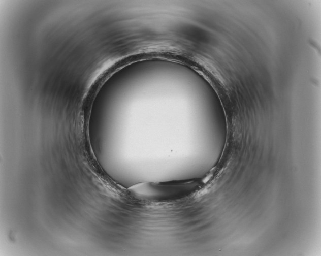 X0000094231021200710261252