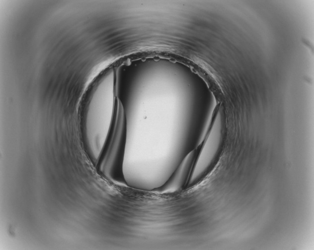 X0000094231022200710261252
