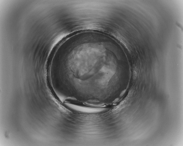 X0000094231024200710261252