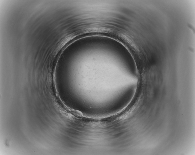 X0000094231025200710261252
