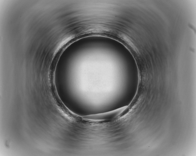 X0000094231026200710261252