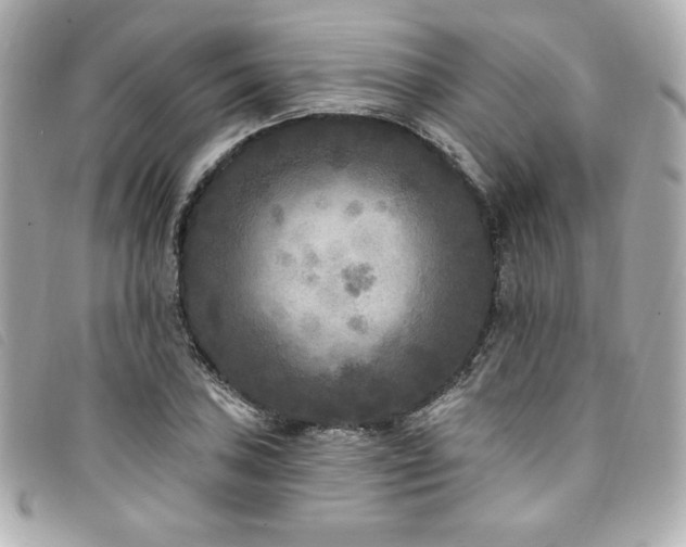 X0000094231027200710261252