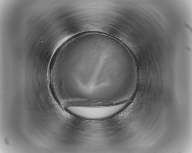 X0000094231028200710261252