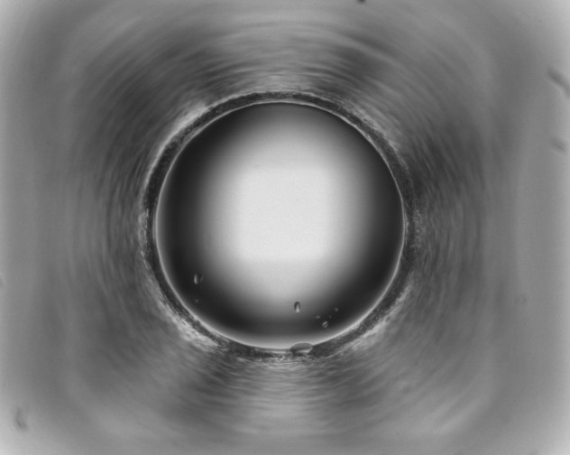 X0000094231029200710261252