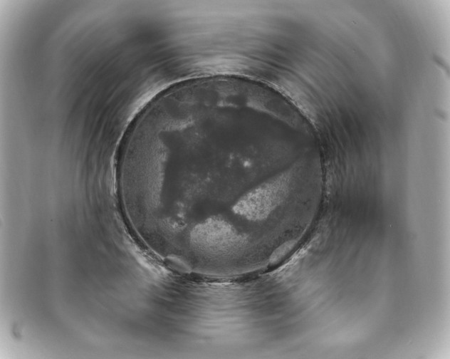 X0000094231031200710261252